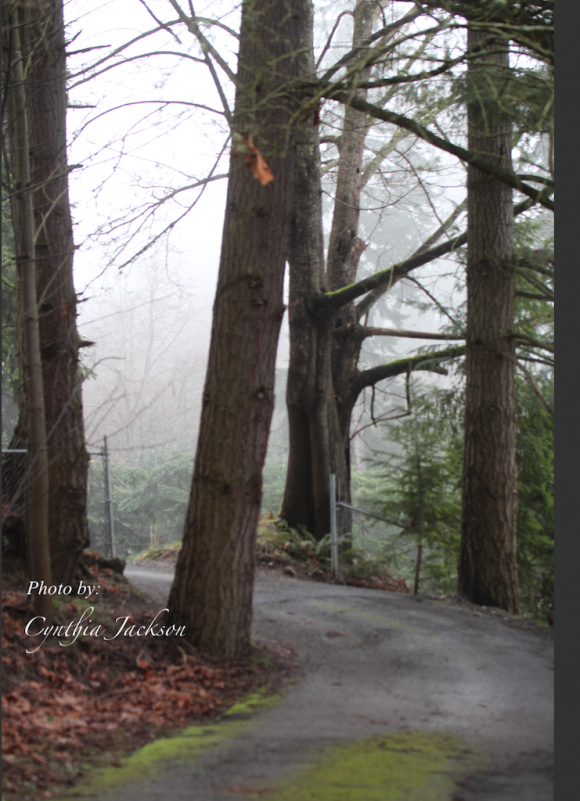 BeautifulWoods toWalkReduced